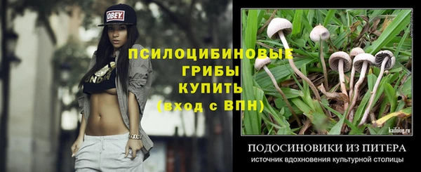 2c-b Волосово