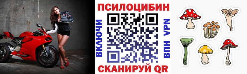 Псилоцибиновые грибы прущие грибы  Одинцово 